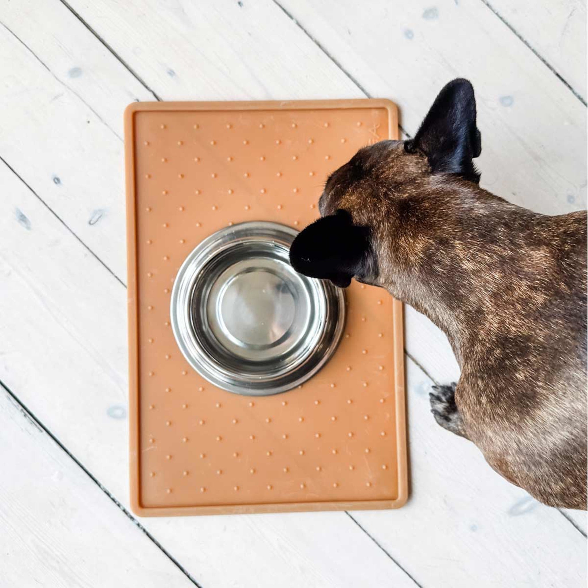 hevea-f-tterungsmatte-aus-naturkautschuk-f-r-hund image 6