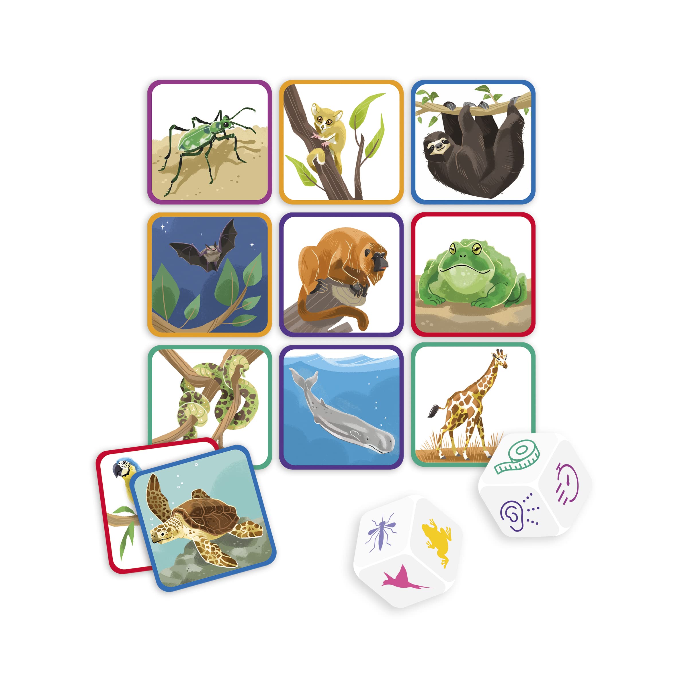 janod-reflexode-tiere-beobachtungsspiel-j08257 image 3