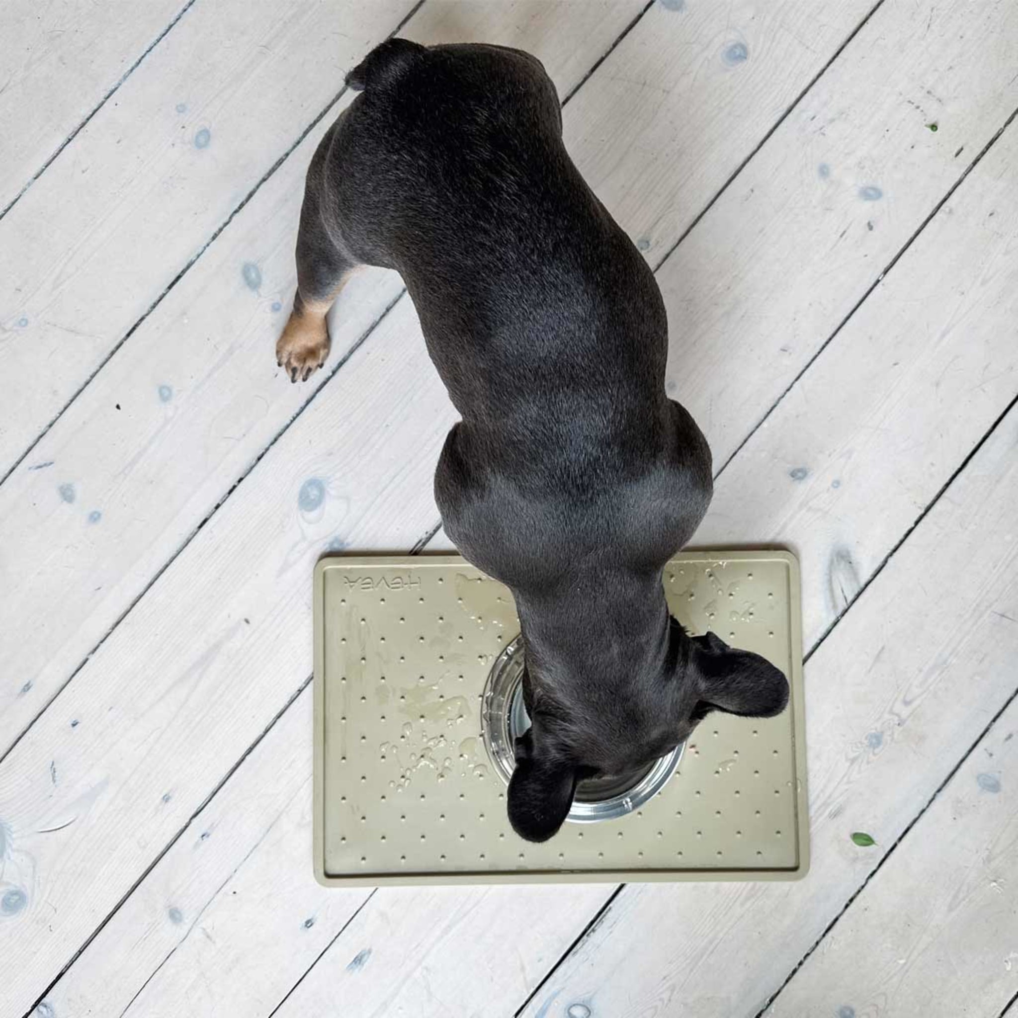 hevea-f-tterungsmatte-aus-naturkautschuk-f-r-hund image 5