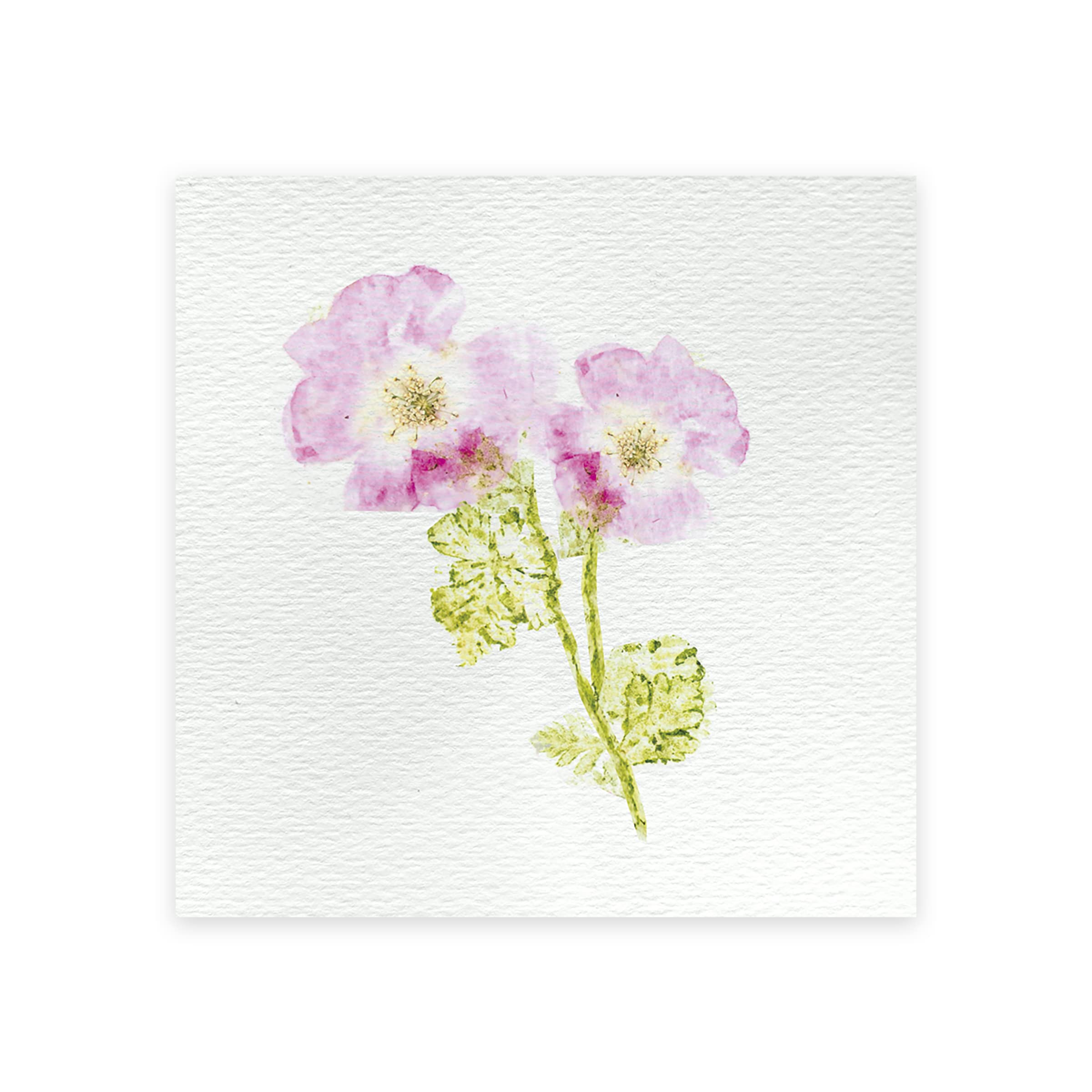 janod-les-ateliers-d-co-blumenpresse-kinder-j07879-6-bastelaktivit-ten image 3