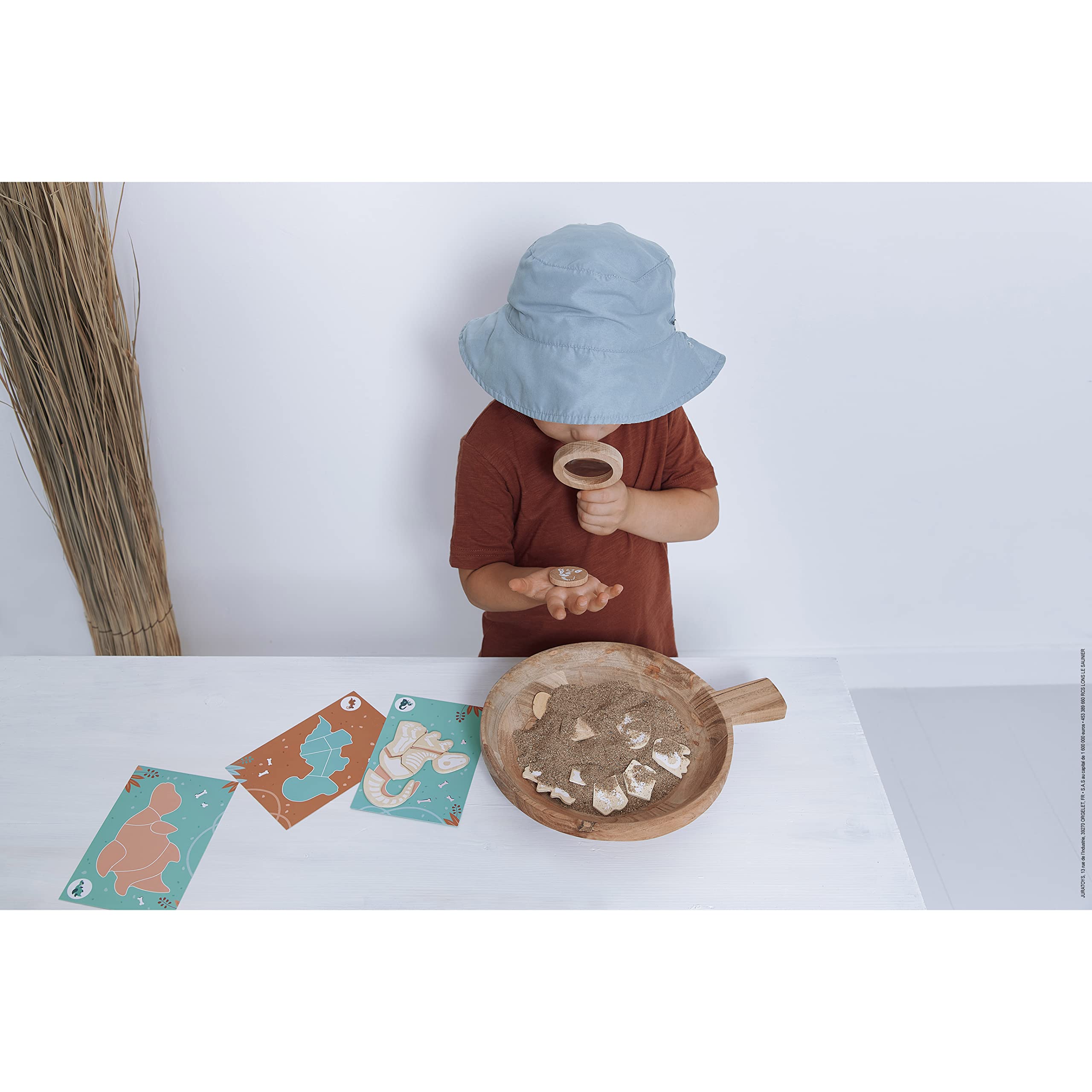 janod-dino-ausgrabungsspiel-j05832-ausgrabungs-set-aus-fsc-holz-ab-4-jahren image 6