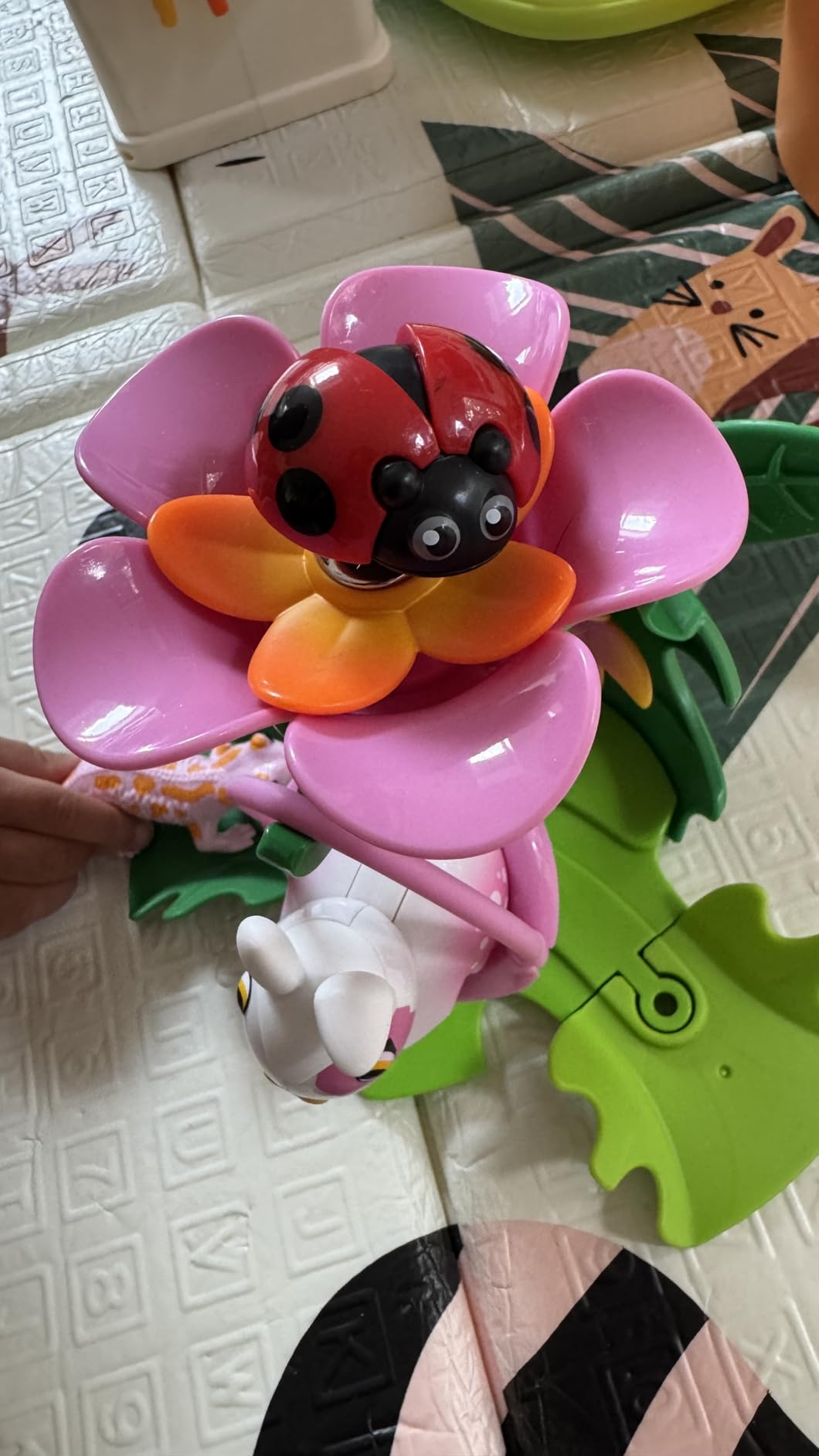 Perfektes Geschenk