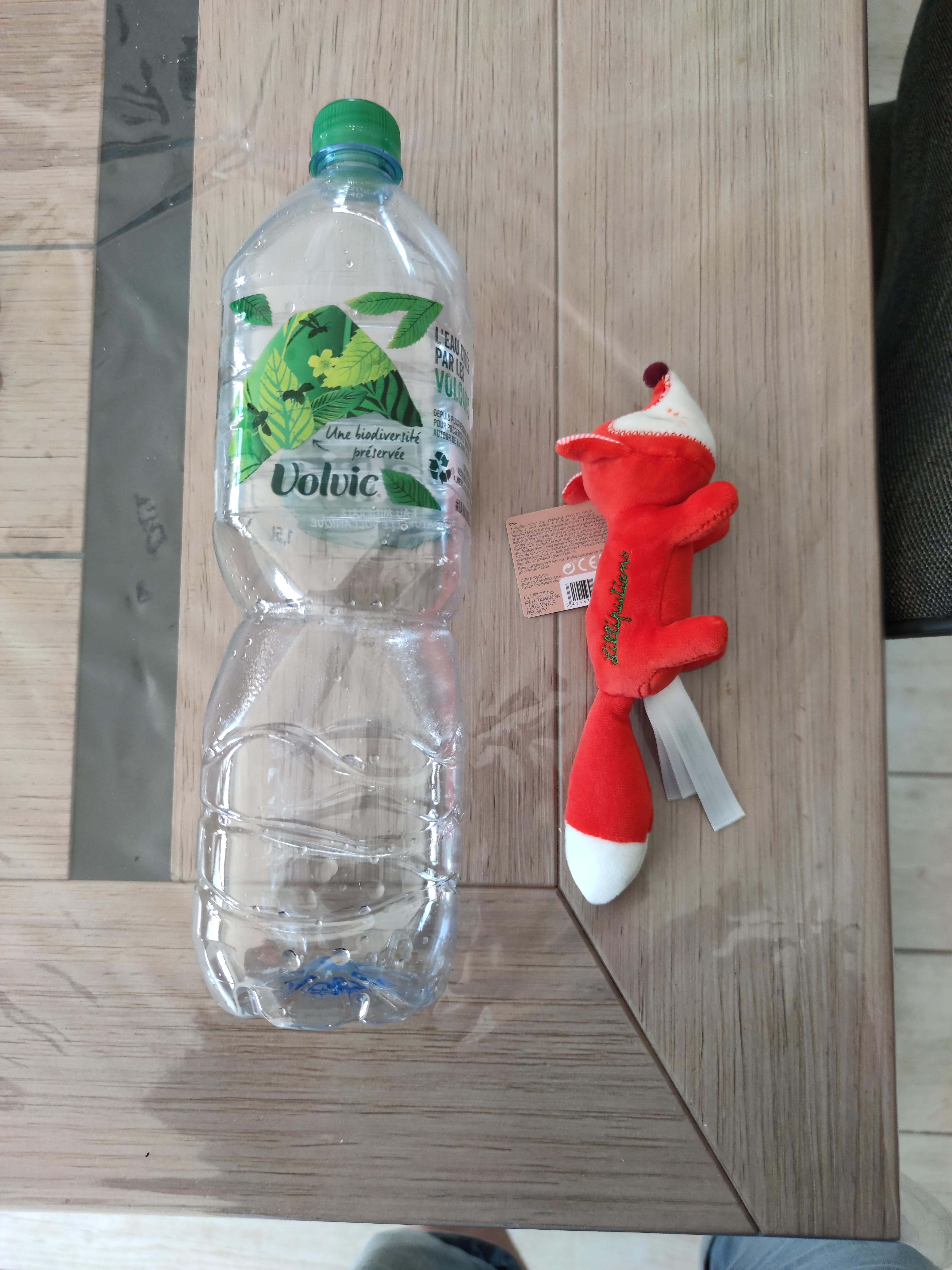 Kleiner Begleiter überall dabei