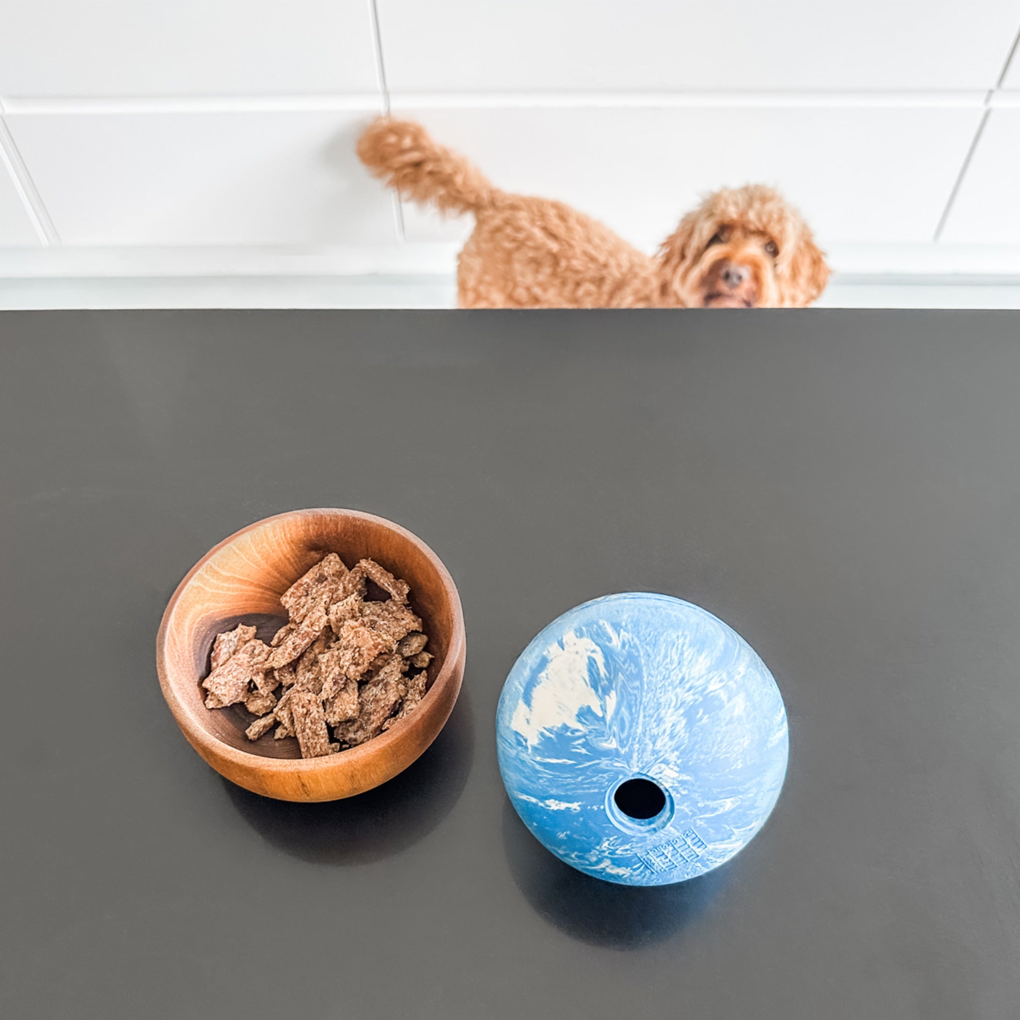 hevea-planet-ball-aktivierungs-und-apportierspielzeug-f-r-hunde image 3