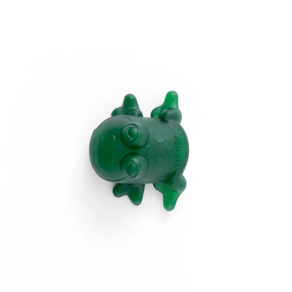 hevea-fred-the-frog-bade-greifspielzeug-frosch-aus-naturkautschuk image 1