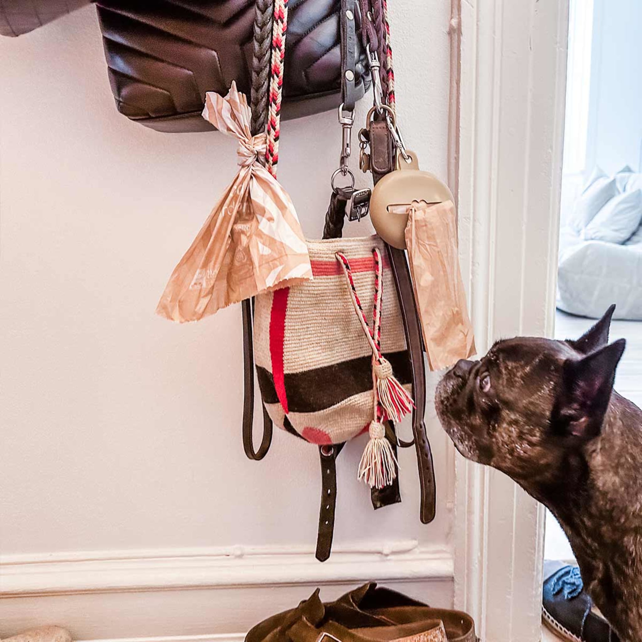 hevea-biologisch-abbaubare-hundekotbeutel image 8